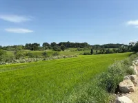 Havre de Paix au Sein D'un T3 D'une Bastide Aixoise