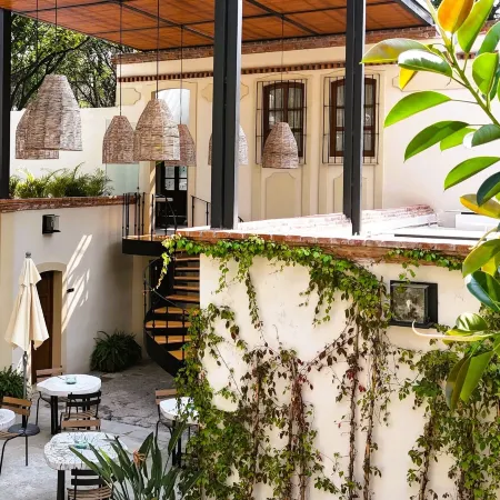 Orchid House Coyoacán