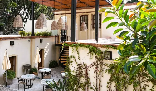 Orchid House Coyoacán - spa