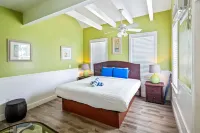 Colors on White - pet friendly