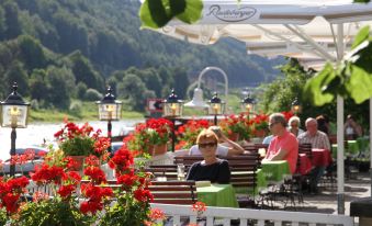 Elbhotel Bad Schandau