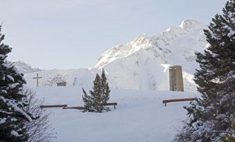 Hôtel Chalet Mounier