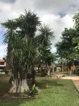 Habitación Potter - Homestays