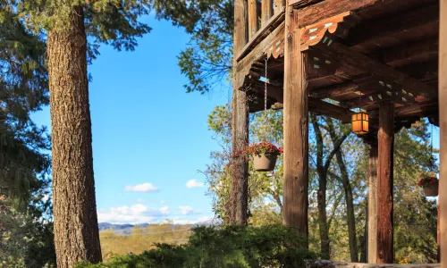 Inn of the Turquoise Bear