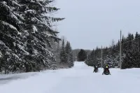 Le Jardin des Mésanges Hotels in Lac-Etchemin