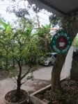 Aroma Homestay Hotel in zona Trang An Grottoes