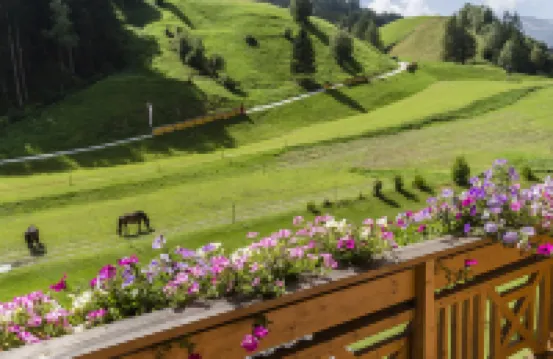 Hotel Bergkristall
