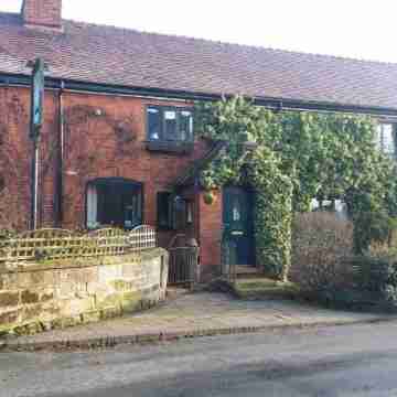 Olive Tree Guest House Hotel Exterior