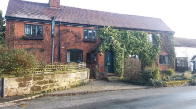 Olive Tree Guest House Hotels in 