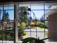 Eagle's guest suits: two bedrooms living room private kitchen and full washroom