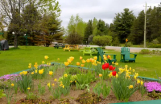 巴曼的Arrowhead旅館