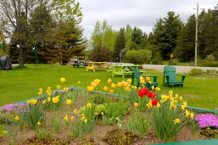 Arrowhead Inn by Baaman's Отели в г. Перри