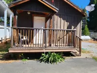 Cozy 1 bedroom cabin in peaceful Trinity Center with AC Hotels in Trinity County