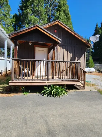 Cozy 1 bedroom cabin in peaceful Trinity Center with AC