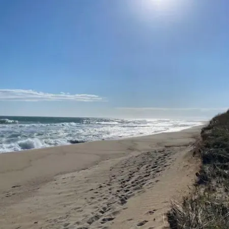 Authentic Nantucket Experience at Sunny Daze!
