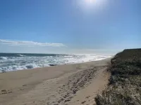 Authentic Nantucket Experience at Sunny Daze!