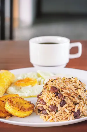 Hotel Alicia Отели рядом с достопримечательностью «Ла Фортуна Уотерфолл»