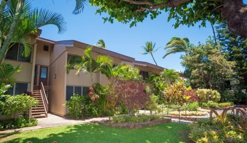 Amazing steps to the OCEAN experience!