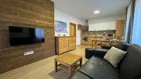 Apartman Pod Mramorovym vrchem Hotels in Lipova Lazne