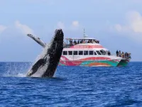 Nicest 1 Bdrm Top Floor Unit Ocean Views Pool Spa Walk to Marina