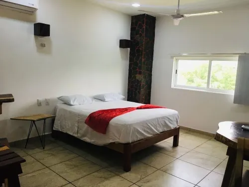 PALMAS DE CHAHUE F (344 SF)