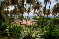 Ultra private Orchid Bay beachfront paradise -Weekly discounts