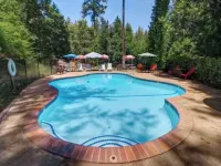 Lakeview Country Cabin ~ Studio w/ 2 Queen Beds