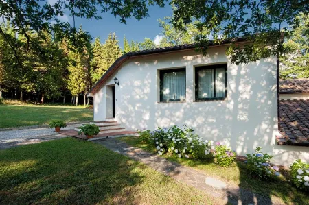 Large Holiday Apartment Tuscany, Ancient Farm, Nature, Swimming Pool, 4 Guests