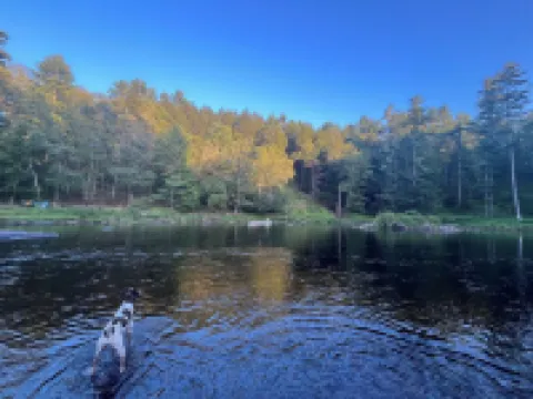 Lehigh Lodge Waterfront- Feat. in Philadelphia Mag. Gorgeous private waterfall!