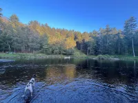 Lehigh Lodge Waterfront- Feat. in Philadelphia Mag. Gorgeous private waterfall!