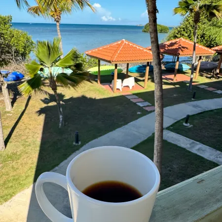 Condo View from Balcony Swimming Pool Playa sucia