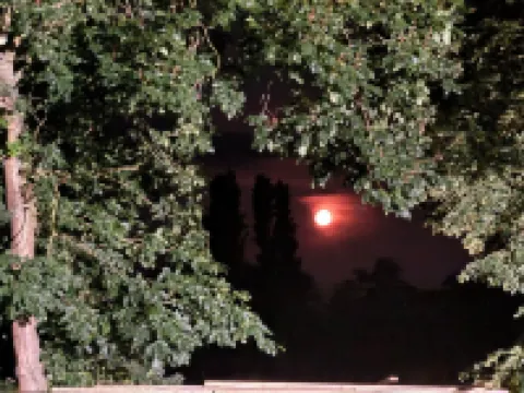 Panorama 180° Hotels in Kitzingen