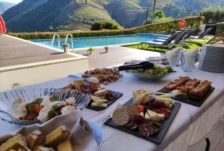 6 bedrooms/suites, infinity pool, gymnasium, gardens, barbecue - Douro Valley