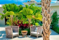 Bali Posh Hotel PR Hotels in Carolina