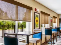Comfort Suites Wooster Near University Campus Hotels in Wayne County