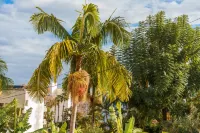 GuestReady - Perfeito para relaxar no Funchal