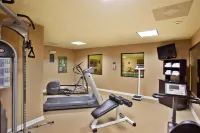 Holiday Inn Express & Suites ATLANTA-EMORY UNIVERSITY AREA by IHG - Træningscentre
