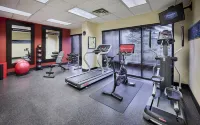 Hampton Inn and Suites by Hilton Windsor - Gym