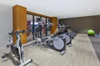 Hotel Indigo ROCHESTER – MAYO CLINIC AREA by IHG - Gym