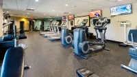 Staybridge Suites HOUSTON-NASA/CLEAR LAKE by IHG - Gym