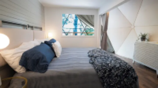 Falling Stars at Bull Shoals Lake