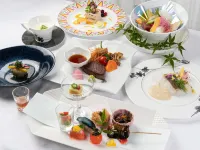 Fontana No OKA Kamou Hotels in Aira