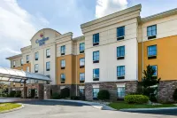 Comfort Inn Athens I - 75 Hotels in Athens