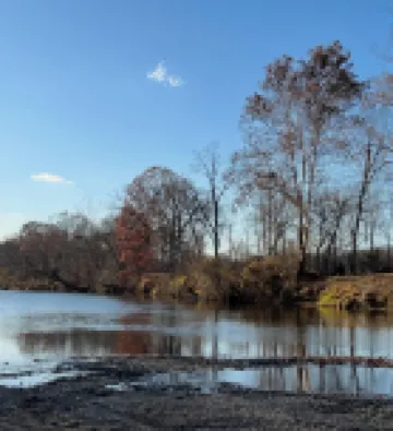 Viola’s Cottage -River Access- Peaceful, Scenic and Newly Renovated!