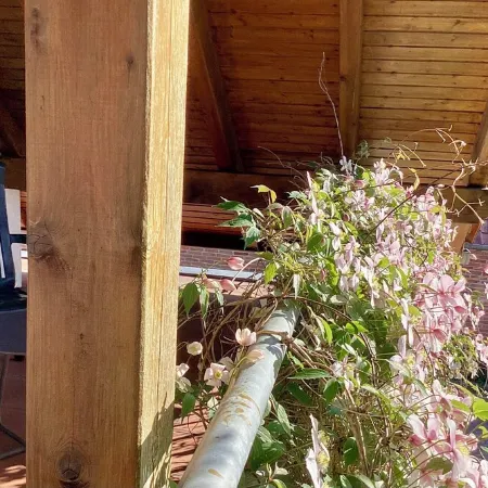 Stadtnah, Eigener Garten, Ruhig