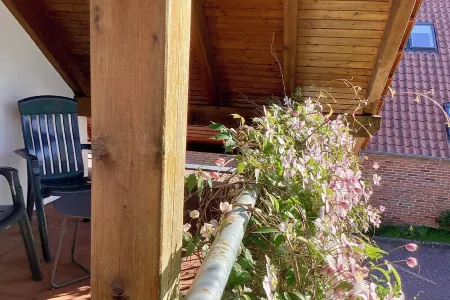 Stadtnah, Eigener Garten, Ruhig