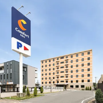 Comfort Inn Ogaki