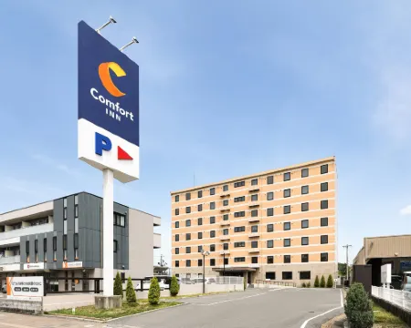 コンフォートイン大垣 大垣のホテル