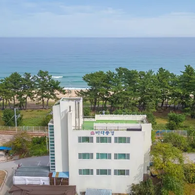 Gangneng Badapunggeong Pension ハスラ・アートワールド周辺のホテル
