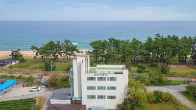 Gangneng Badapunggeong Pension ハスラ・アートワールド周辺のホテル